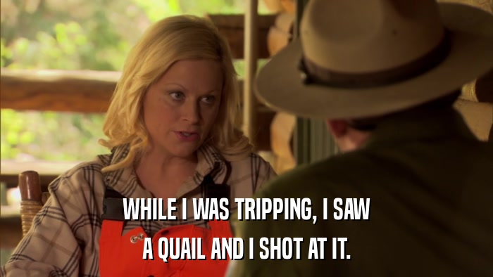 WHILE I WAS TRIPPING, I SAW A QUAIL AND I SHOT AT IT. 
