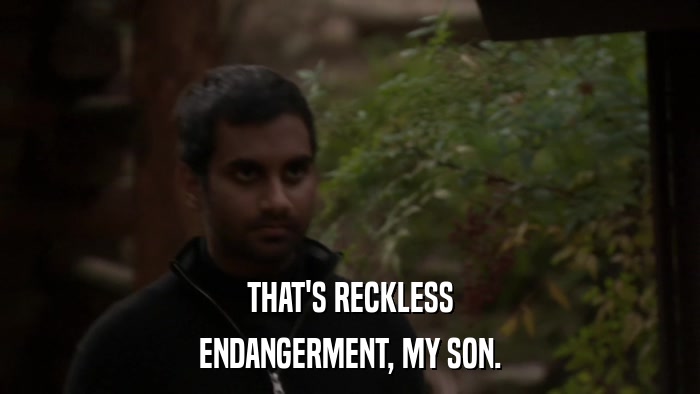 THAT'S RECKLESS ENDANGERMENT, MY SON. 