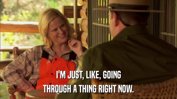 I'M JUST, LIKE, GOING THROUGH A THING RIGHT NOW. 