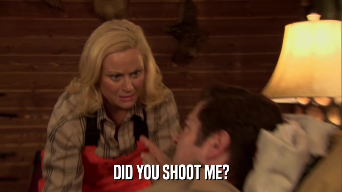 DID YOU SHOOT ME?  
