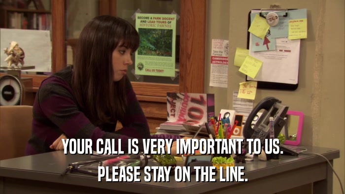 YOUR CALL IS VERY IMPORTANT TO US. PLEASE STAY ON THE LINE. 