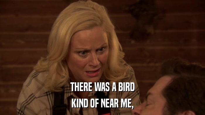 THERE WAS A BIRD KIND OF NEAR ME, 