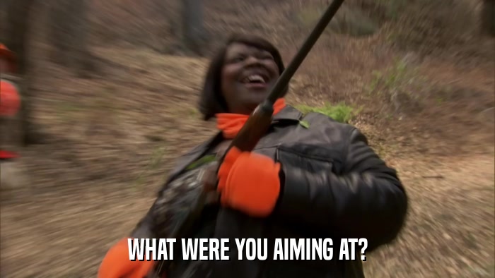 WHAT WERE YOU AIMING AT?  