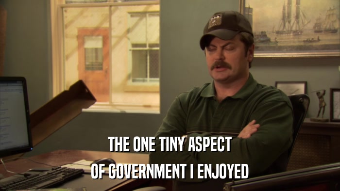 THE ONE TINY ASPECT OF GOVERNMENT I ENJOYED 