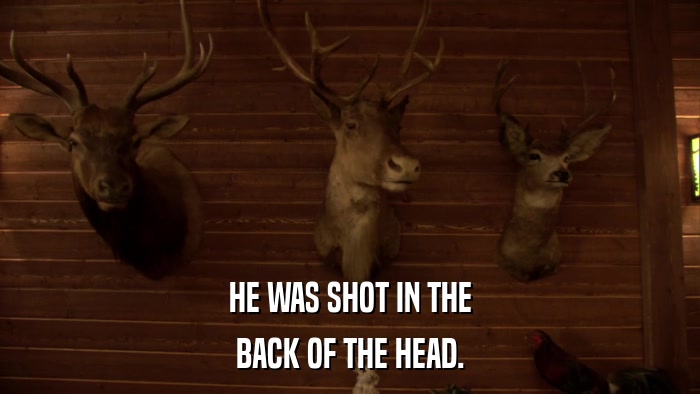 HE WAS SHOT IN THE BACK OF THE HEAD. 