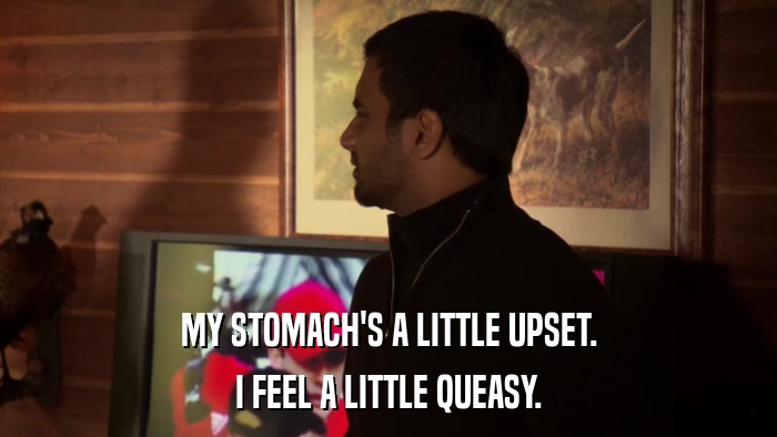 MY STOMACH'S A LITTLE UPSET. I FEEL A LITTLE QUEASY. 