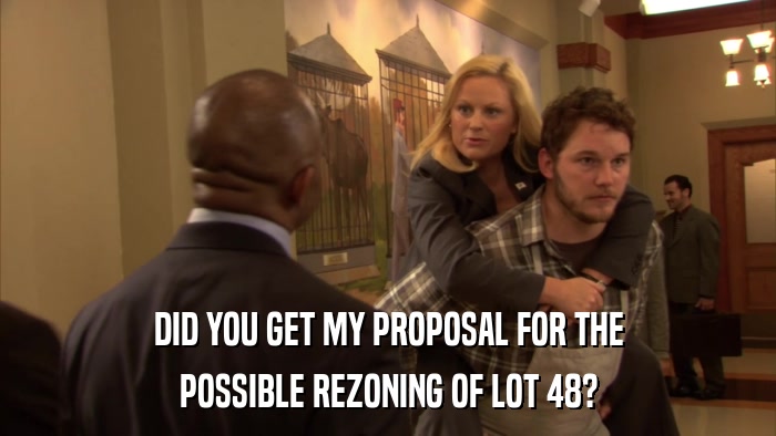 DID YOU GET MY PROPOSAL FOR THE POSSIBLE REZONING OF LOT 48? 