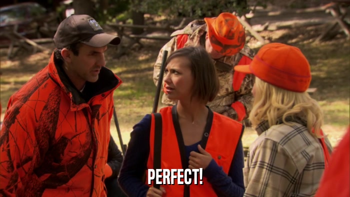 PERFECT!  
