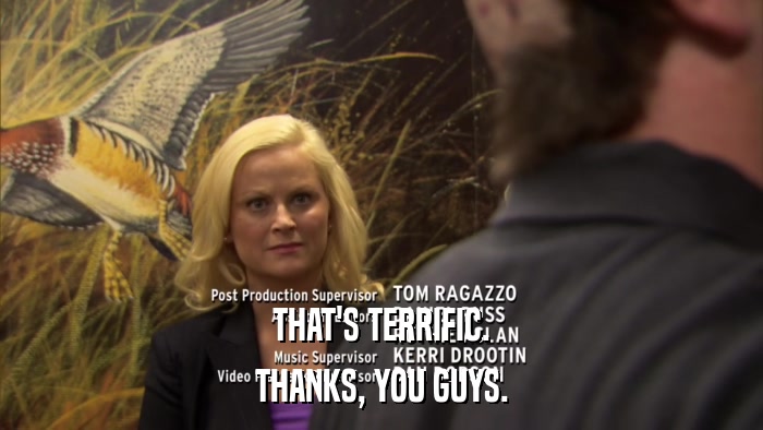 THAT'S TERRIFIC. THANKS, YOU GUYS. 