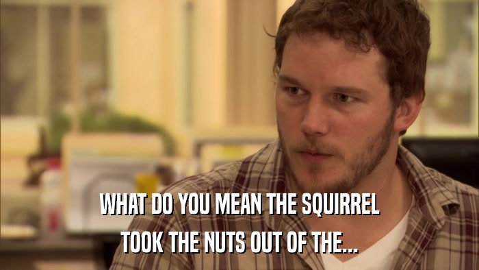 WHAT DO YOU MEAN THE SQUIRREL TOOK THE NUTS OUT OF THE... 