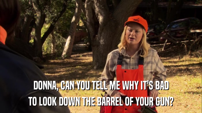 DONNA, CAN YOU TELL ME WHY IT'S BAD TO LOOK DOWN THE BARREL OF YOUR GUN? 
