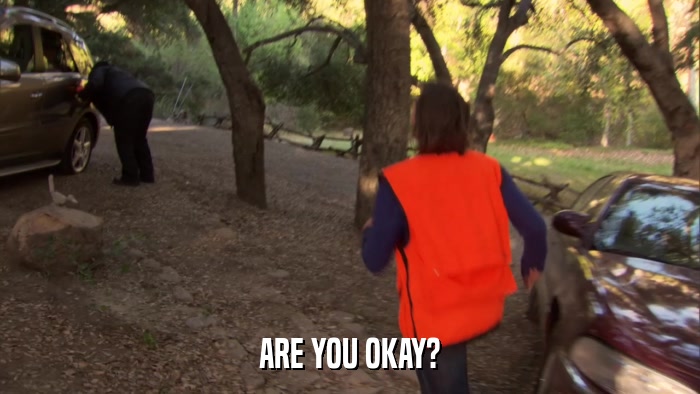 ARE YOU OKAY?  