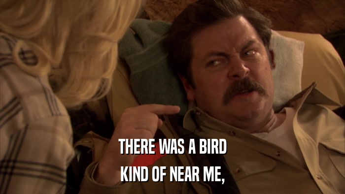THERE WAS A BIRD KIND OF NEAR ME, 