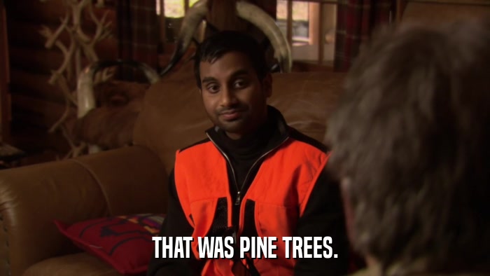 THAT WAS PINE TREES.  