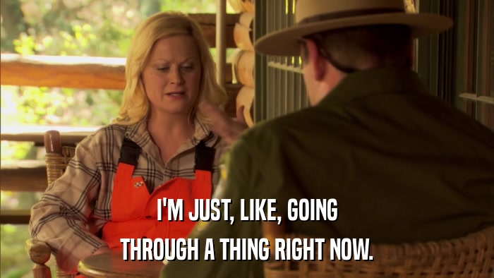 I'M JUST, LIKE, GOING THROUGH A THING RIGHT NOW. 