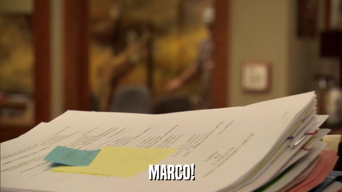 MARCO!  