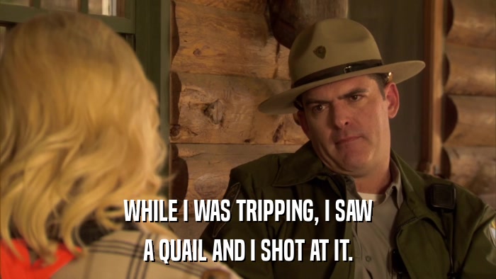 WHILE I WAS TRIPPING, I SAW A QUAIL AND I SHOT AT IT. 