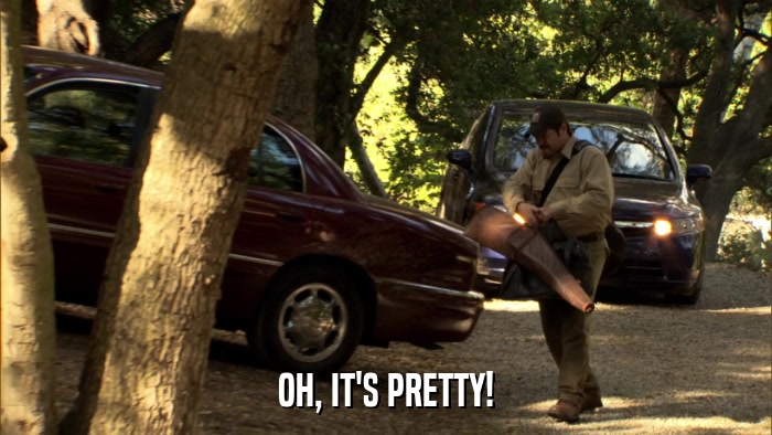 OH, IT'S PRETTY!  
