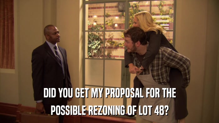 DID YOU GET MY PROPOSAL FOR THE POSSIBLE REZONING OF LOT 48? 