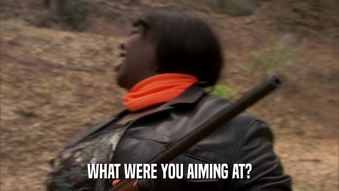 WHAT WERE YOU AIMING AT?  