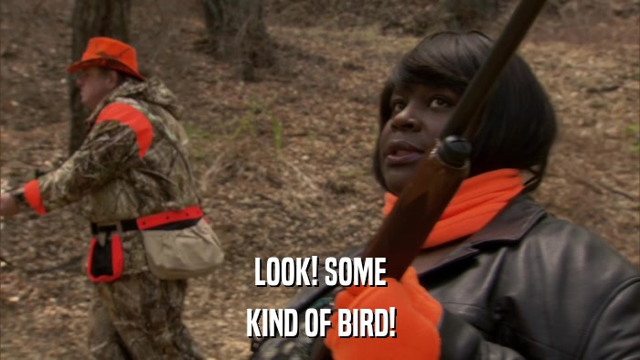 LOOK! SOME KIND OF BIRD! 