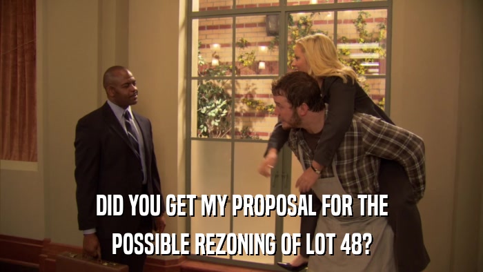 DID YOU GET MY PROPOSAL FOR THE POSSIBLE REZONING OF LOT 48? 