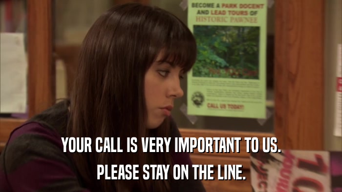 YOUR CALL IS VERY IMPORTANT TO US. PLEASE STAY ON THE LINE. 