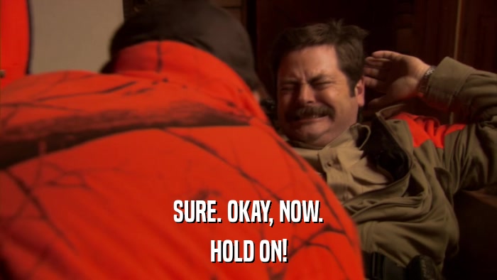 SURE. OKAY, NOW. HOLD ON! 