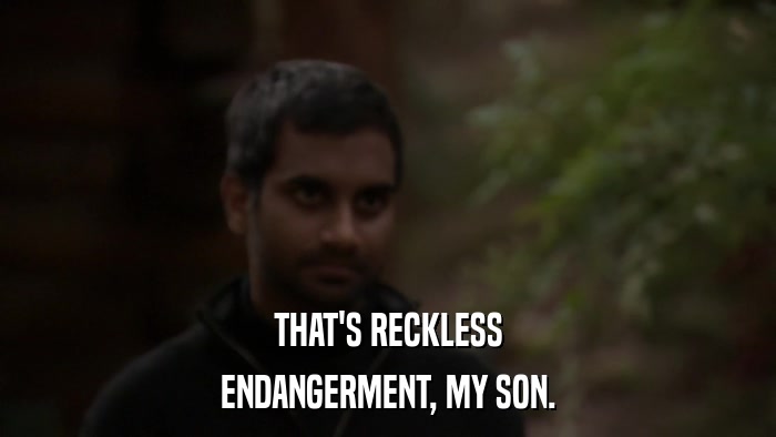 THAT'S RECKLESS ENDANGERMENT, MY SON. 