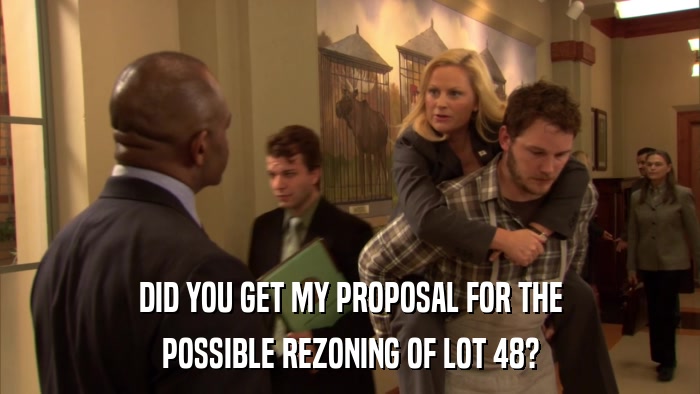 DID YOU GET MY PROPOSAL FOR THE POSSIBLE REZONING OF LOT 48? 