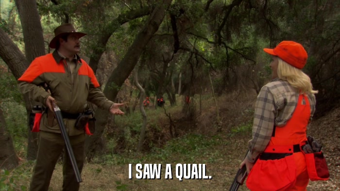 I SAW A QUAIL.  