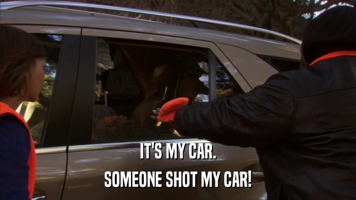 IT'S MY CAR. SOMEONE SHOT MY CAR! 