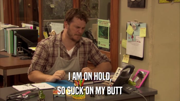I AM ON HOLD, SO SUCK ON MY BUTT 