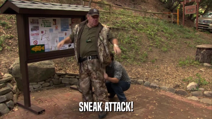 SNEAK ATTACK!  