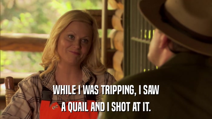 WHILE I WAS TRIPPING, I SAW A QUAIL AND I SHOT AT IT. 