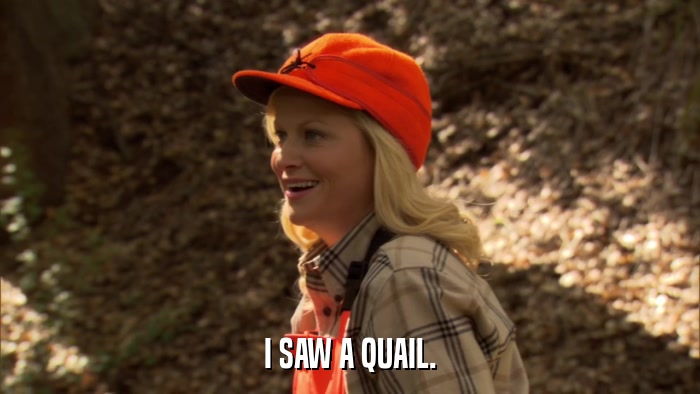 I SAW A QUAIL.  