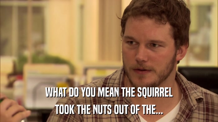 WHAT DO YOU MEAN THE SQUIRREL TOOK THE NUTS OUT OF THE... 