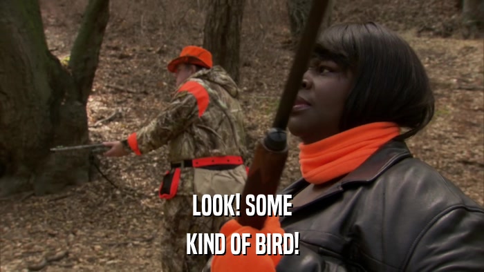 LOOK! SOME KIND OF BIRD! 