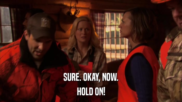 SURE. OKAY, NOW. HOLD ON! 