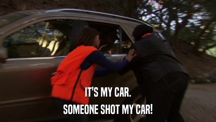 IT'S MY CAR. SOMEONE SHOT MY CAR! 