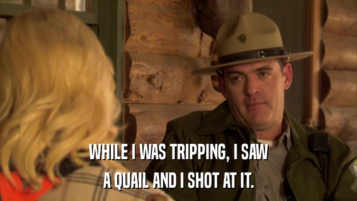 WHILE I WAS TRIPPING, I SAW A QUAIL AND I SHOT AT IT. 