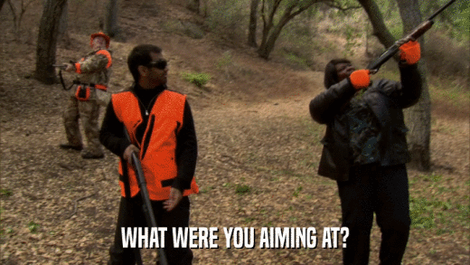 WHAT WERE YOU AIMING AT?  