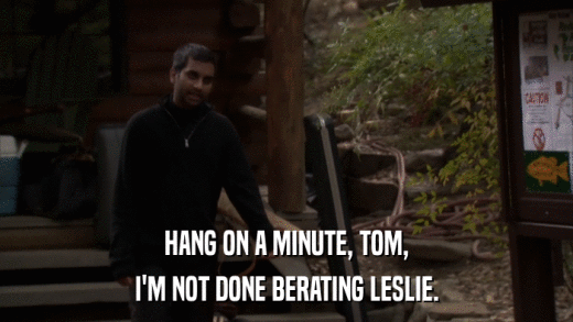 HANG ON A MINUTE, TOM, I'M NOT DONE BERATING LESLIE. 