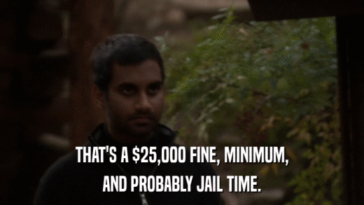 THAT'S A $25,000 FINE, MINIMUM, AND PROBABLY JAIL TIME. 