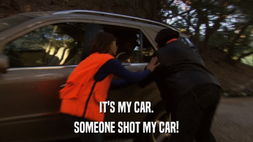 IT'S MY CAR. SOMEONE SHOT MY CAR! 