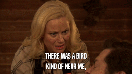 THERE WAS A BIRD KIND OF NEAR ME, 