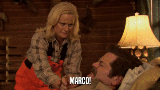MARCO!  