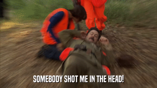 SOMEBODY SHOT ME IN THE HEAD!  
