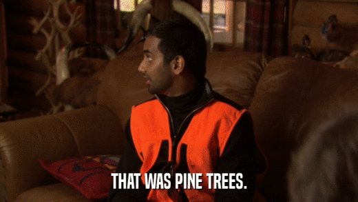 THAT WAS PINE TREES.  