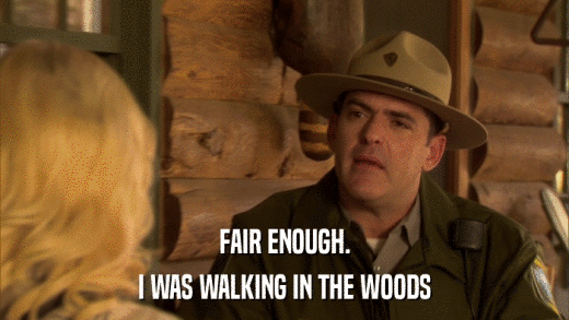 FAIR ENOUGH. I WAS WALKING IN THE WOODS 